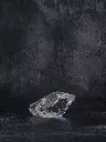P5141426現像済.webp