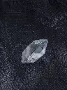P5140052現像済.webp