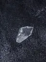 P5140053現像済.webp