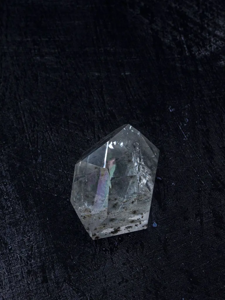 P5140051現像済.webp