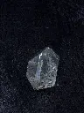 P5140051現像済.webp
