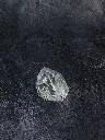 P5140002現像済_2.webp