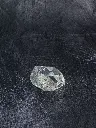 P5140003現像済_2.webp