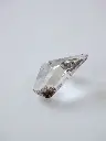 P5111304現像済.webp