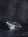 P5141417現像済.webp