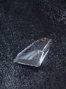 P5140046現像済.webp