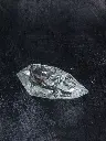 P5141471現像済.webp
