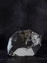 P5141408現像済.webp
