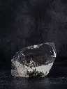 P5141405現像済.webp