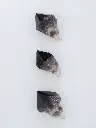 P5111203現像済.webp