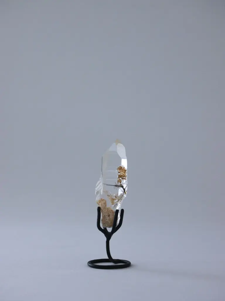 P5141398現像済.webp