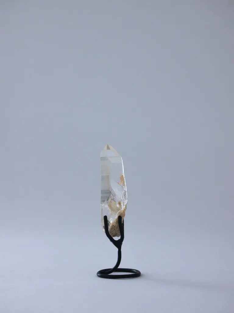 P5141397現像済.webp