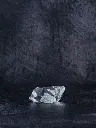 P5141459現像済.webp