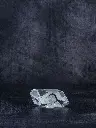 P5141461現像済.webp