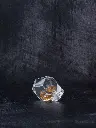 P5141454現像済.webp