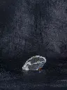 P5141456現像済.webp
