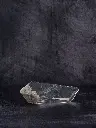 P5141442現像済.webp