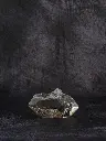P5141430現像済.webp