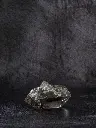 P5141432現像済.webp