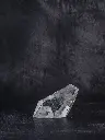 P5141428現像済.webp