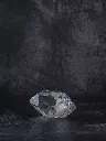 P5141427現像済.webp