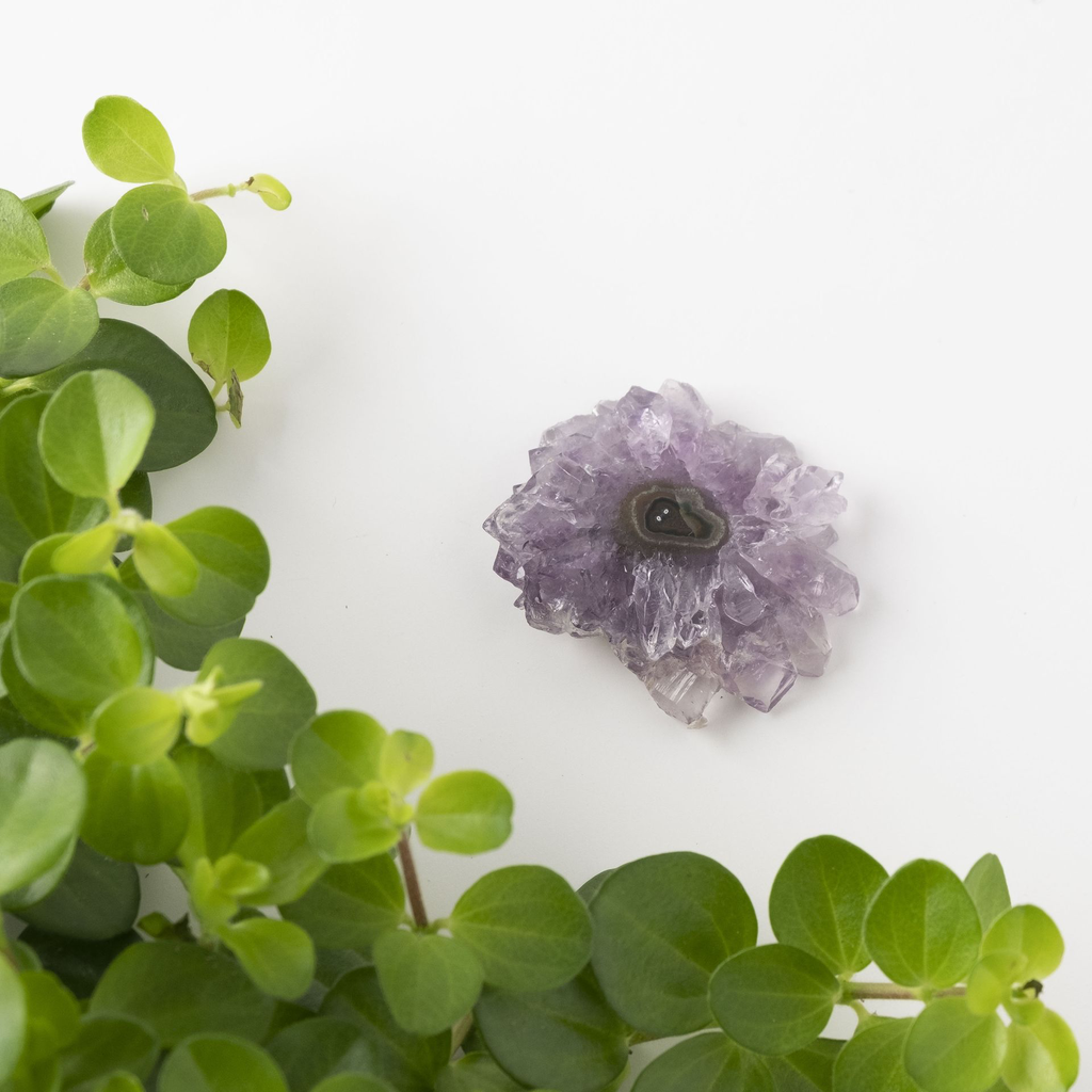 [NATC1050] Amethyst Stalactite Slice