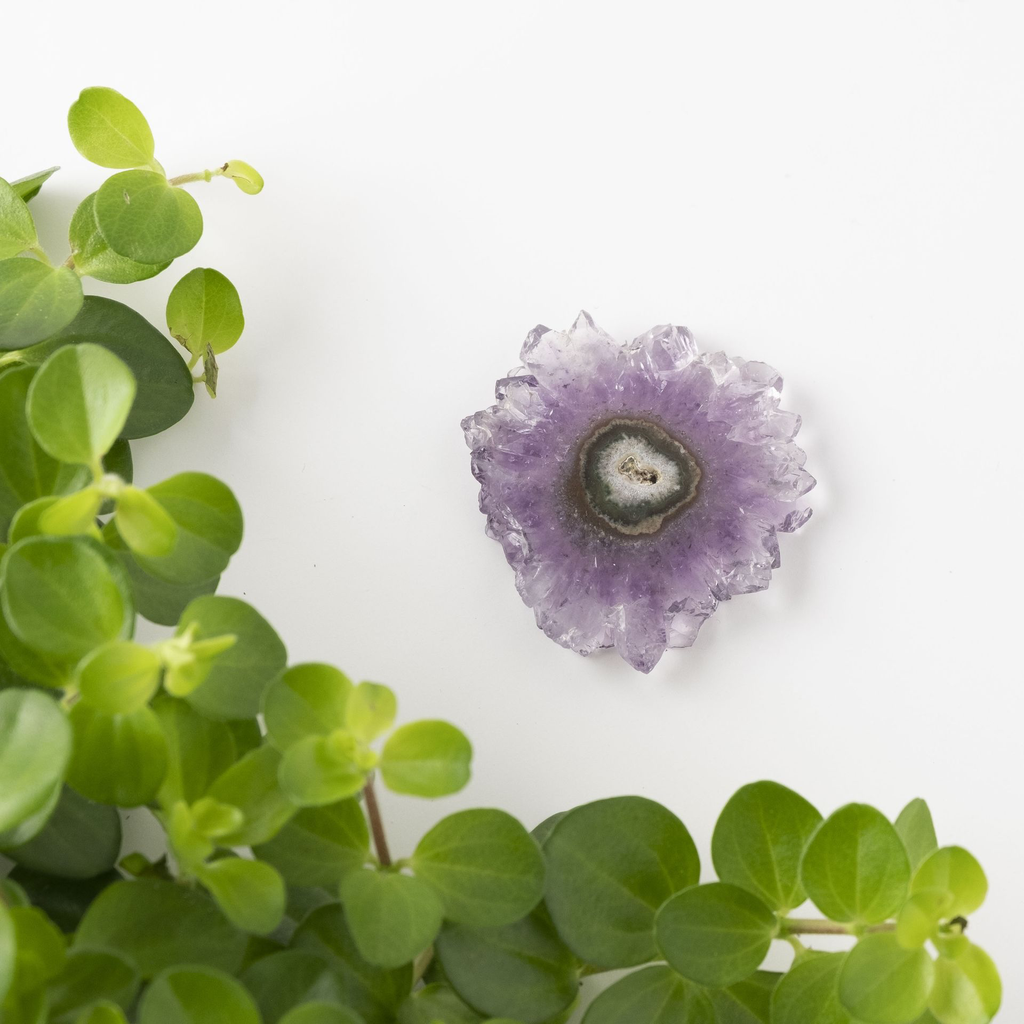 [NATC1053] Amethyst Stalactite Slice